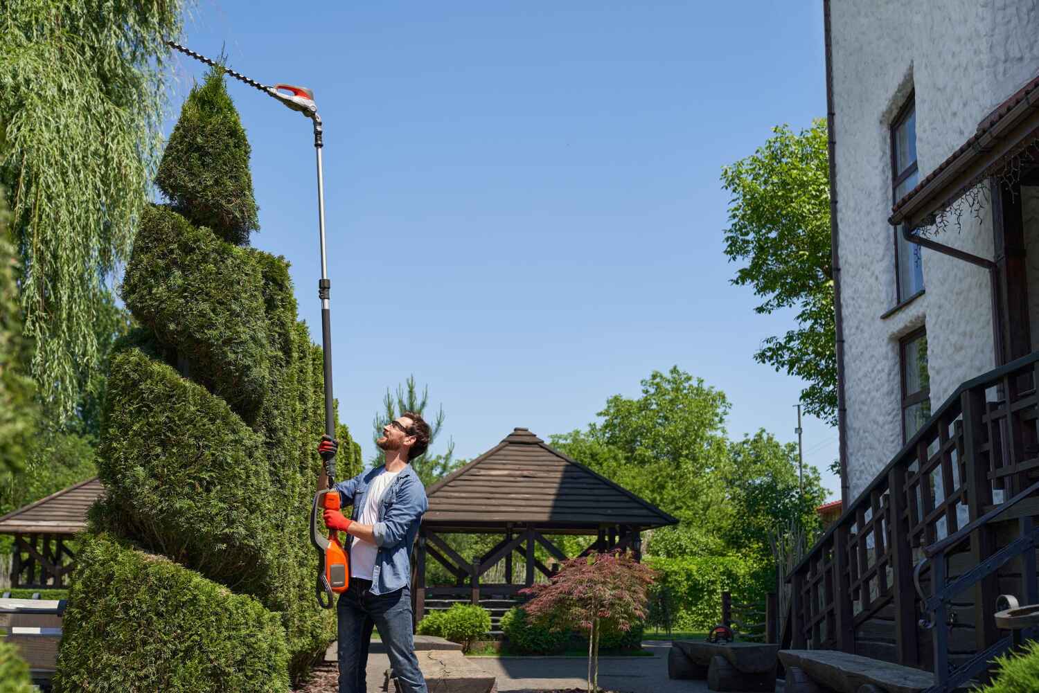 Professional Tree Service in Sawmills, NC